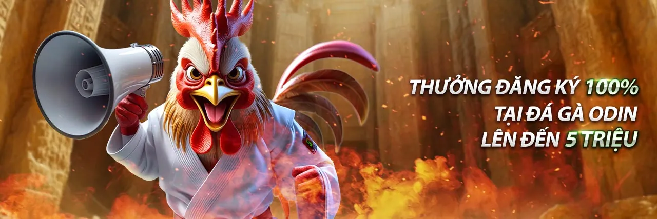 Công cụ marketing cho đối tác ko66